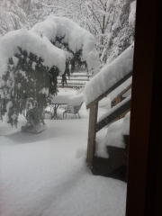 Looking out the window to back deck